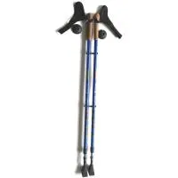 Е 0673 Палки для скандинавской ходьбы 115-140 цв. синий/красный, пара